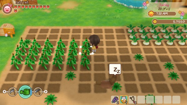 图片[3]_牧场物语：重聚矿石镇（STORY OF SEASONS: Friends of Mineral Town）_大玩家GAMES
