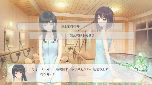 图片[2]_Flowers：春篇（Flowers -Le volume sur printemps-）_大玩家GAMES