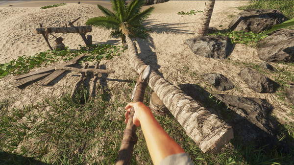 图片[1]_荒岛求生 Stranded Deep v0.90.00L 免安装官方中文版_大玩家GAMES