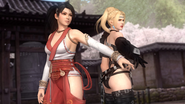 图片[3]_死或生5：最后一战 DEAD OR ALIVE 5 Last Round: Core Fighters v1.10 中文绿色版豪华版 TECMO50周年版_大玩家GAMES