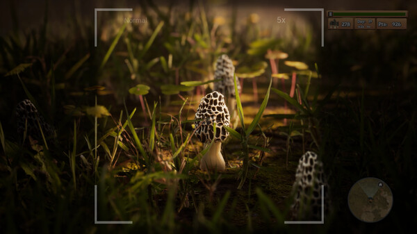图片[1]_羊肚菌：狩猎游戏（Morels: The Hunt）_大玩家GAMES