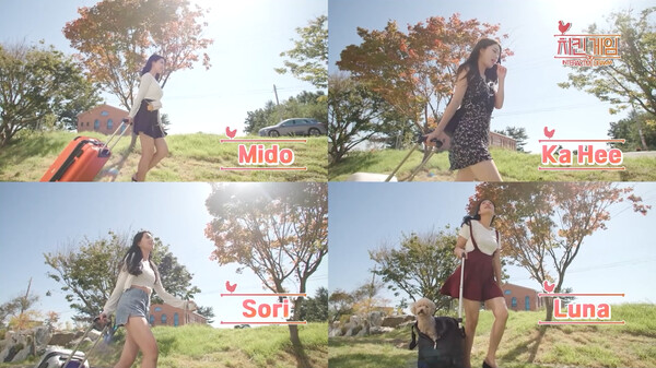 图片[1]_鸡肉游戏/炸鸡外卖员 Chicken Game 免安装绿色中文版_大玩家GAMES