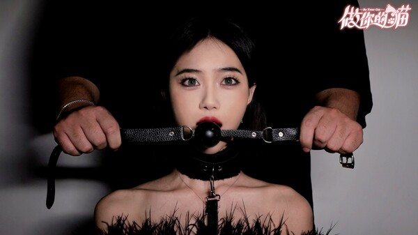 图片[3]_做你的猫 免安装绿色中文版_大玩家GAMES