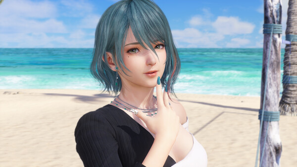 图片[3]_死或生：维纳斯璀璨假期 Venus Vacation PRISM – DEAD OR ALIVE Xtreme 免安装steam官方中文版_大玩家GAMES