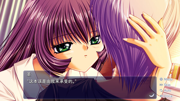 图片[3]_鸟之诗晴空青空 AIR 免安装v1.2.1.3绿色中文版_大玩家GAMES