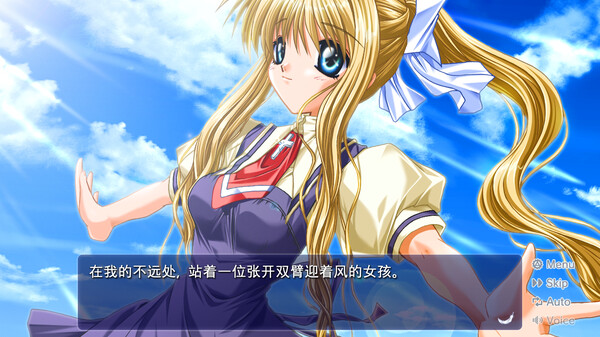 图片[1]_鸟之诗晴空青空 AIR 免安装v1.2.1.3绿色中文版_大玩家GAMES