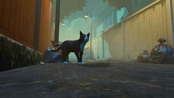 图片[1]_冒牌猫谜 Copycat 免安装v1.0.6绿色中文版_大玩家GAMES