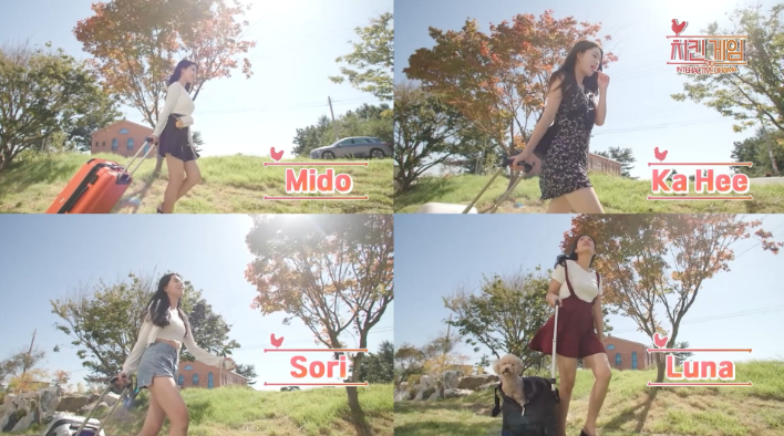 图片[2]_小鸡游戏 Chicken Game 免安装绿色中文版_大玩家GAMES